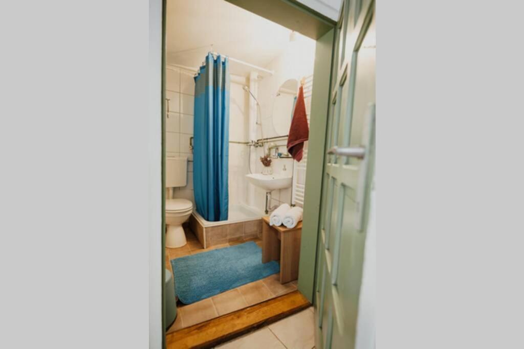 Green Centre Studio Kaloşvar Dış mekan fotoğraf